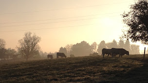 Photo n°4 de FERME DE LA MAISON JEAN à Les Abrets en Dauphiné (Ferme)