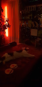 Cafe Hans photo