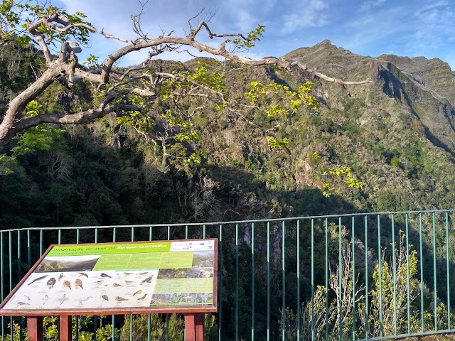 Levada Dos Balcoes