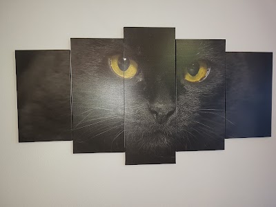 Photos of Dr. Christian von H&auml;nisch veterinarian