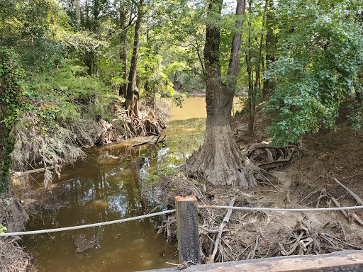 Brierwood Unit Parking Lot, Trinity River National Wildlife Refuge - Thumbnail