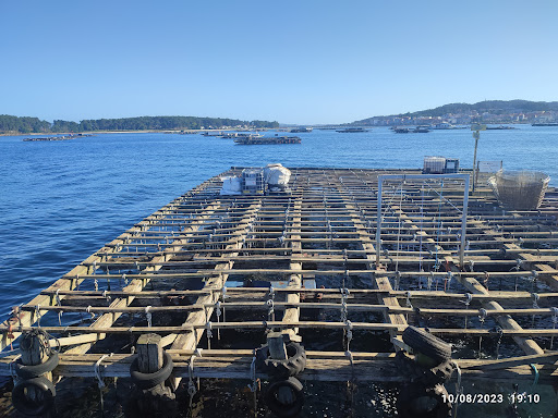 Cruceros de Arosa Gallery - Spain