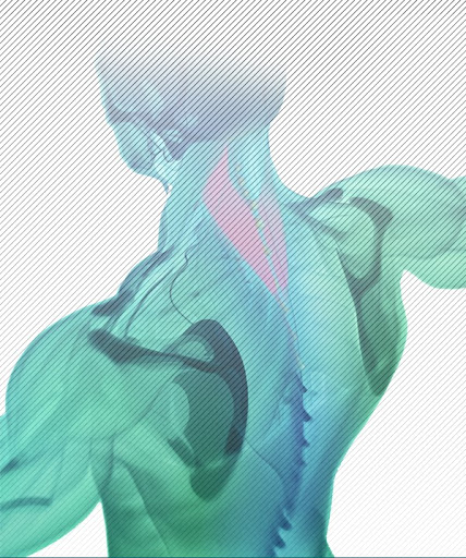 MyoHealth Massage & Bodywork Gallery - United States