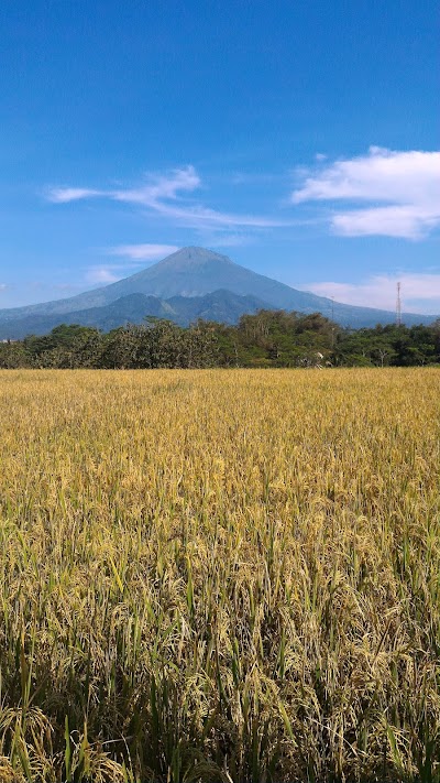 Photos of Perum Bumi Elo Mas Magelang