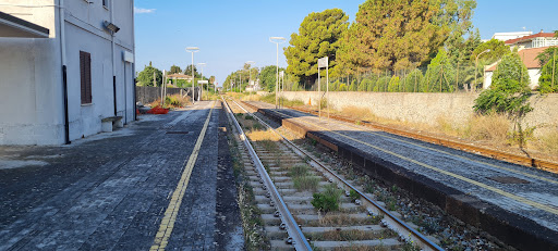 RiaceTrain Station