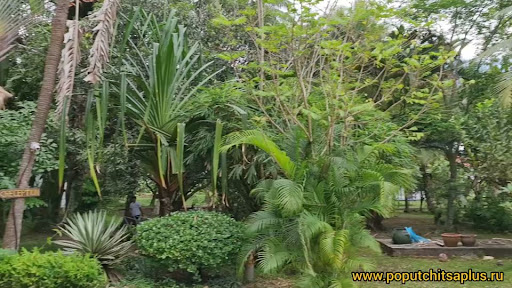 Lipa Lodge Beach Resort