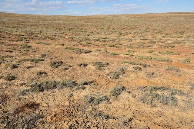 ウスチュルト台地