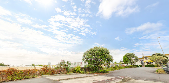 Shosha Wairau Valley Vape Shop - Shop