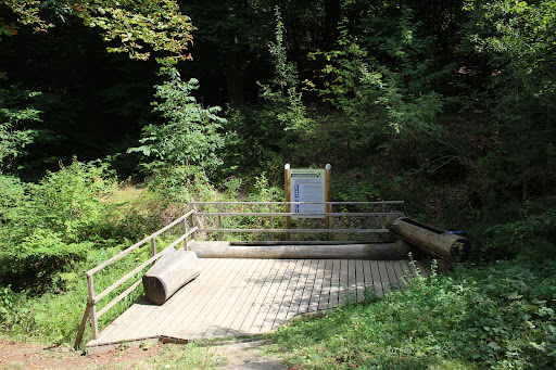Wassertretanlage Eichhornsbach