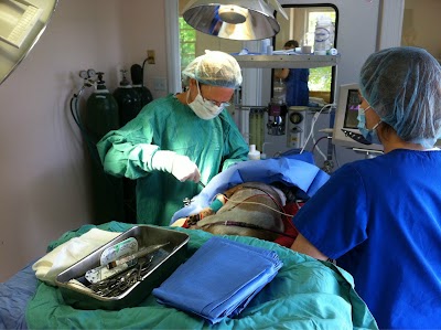 Photos of Sugar Hill Animal Hospital