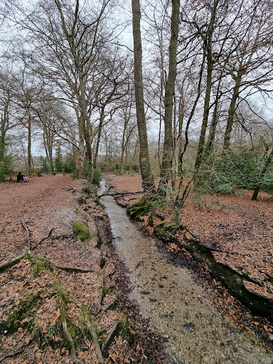 Decoy Country Park - Thumbnail