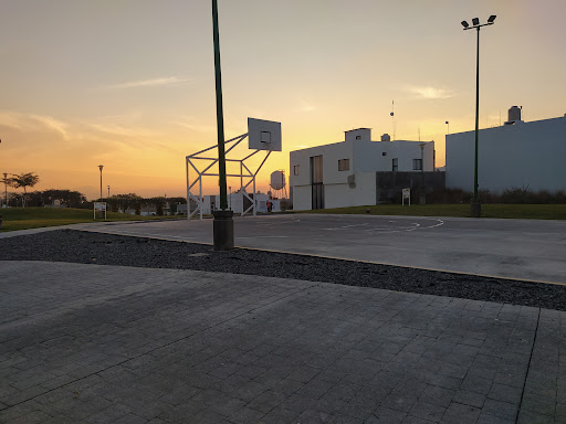 Frío Garden - Visual