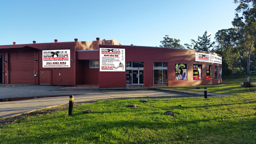 Northlakes Black Belt Martial Arts Logo