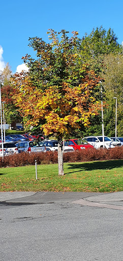Sävsjö health center