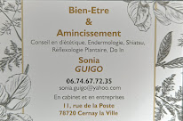 Sonia Guigo (Médecine Traditionnelle Chinoise) à Cernay-la-Ville