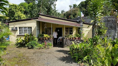 Photos of Dream Price Montagne Blanche