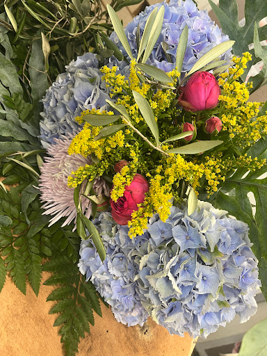 Blumen Wingen Gallery - Germany