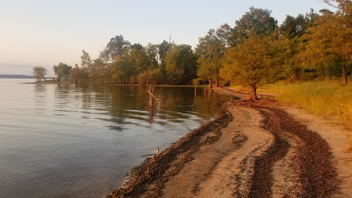 Bannister Wildlife Management Area #903