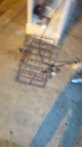 Guayaquil 090108