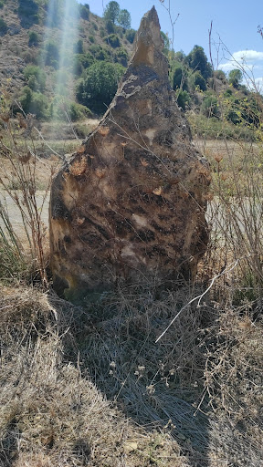 Menhir Pompu