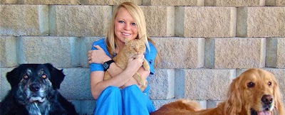 Photos of Sun City Animal Hospital