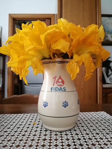 Fidas Brienza - Thumbnail