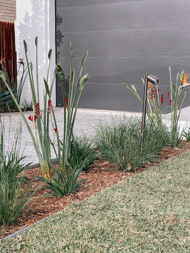 Discover Premier Landscaping Services in Sydney