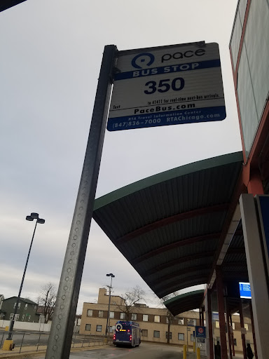 Pace Harvey TC Bay E