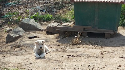 Photos of 김포다도박물관