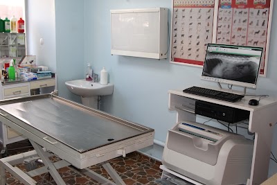 Photos of Beylikd&uuml;z&uuml; Veteriner Kliniği