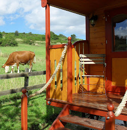 Photo n°18 de La Roulotte à la Ferme à Palogneux (Chambre d'hôtes)