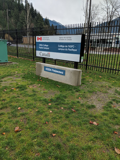 CBSA College - Thumbnail