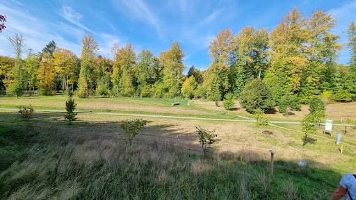 Ewilpa - Der Essbare Wildpflanzen Park Gallery - Germany