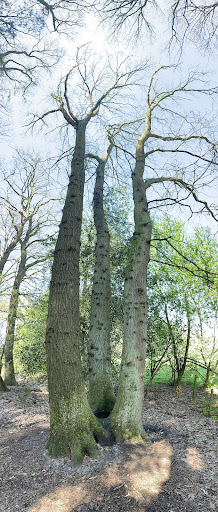 Parkeerplaats De Korte Duinen - Thumbnail