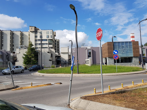 San Carlo Azienda Ospedaliera Regionale - Italy