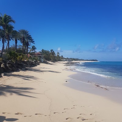 Photos of Trump Le Chateau des Palmiers
