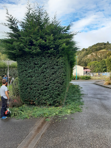 Arbres Et Paysages Zettl - Thumbnail