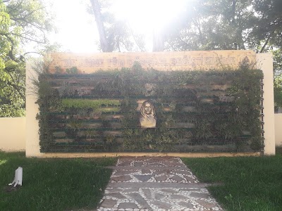 Photos of Adil 2 Pasajı