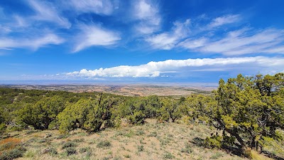 Black Ridge Canyons Wilderness (Colorado)