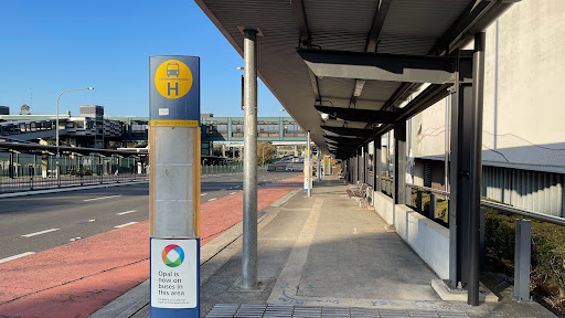 Macarthur Station, Menangle Rd, Stand H - Thumbnail
