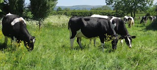 Tredington House Farm