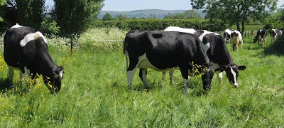 Tredington House Farm