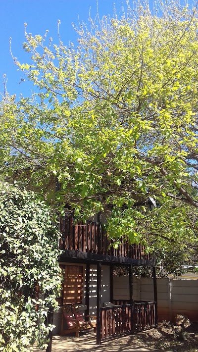 Photos of The Cottage