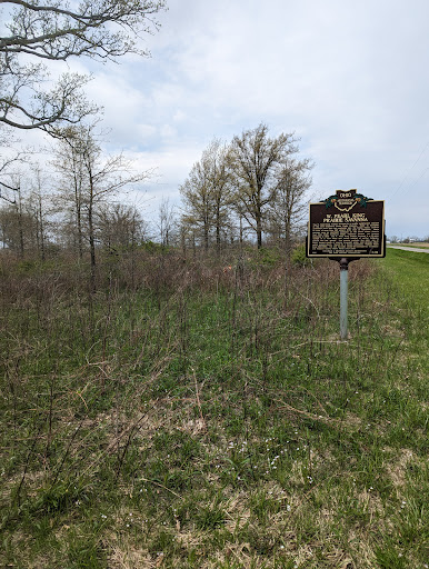 W. Pearl King Prairie Savannah State Nature Preserve Gallery - United States