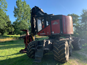 Photo n°2 de SYLVECO - Béma à Rosporden (Service d'élagage)