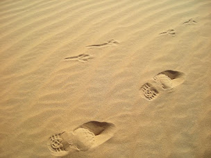 Photo n°10 de Isabelle Thureau Sophrologue - Hypnologue à Juvisy-sur-Orge (Thérapeute Reiki)