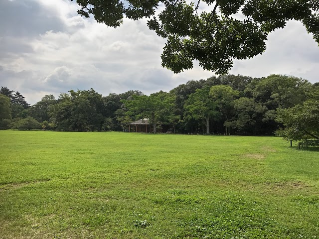 Jardin botanique de Kyōto