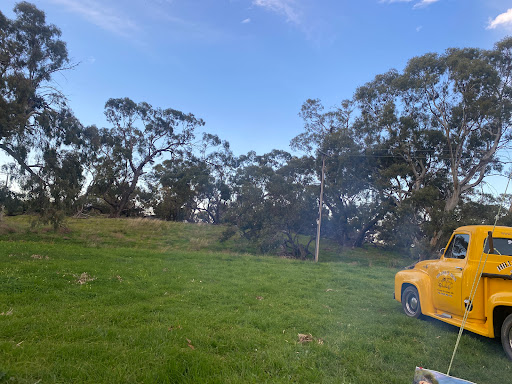 Towitta Campground - Thumbnail