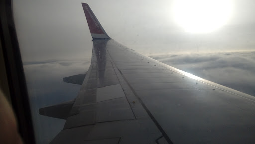 Norwegian - Thumbnail