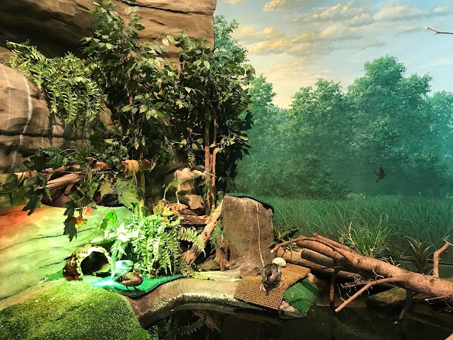 Great Lakes Aquarium